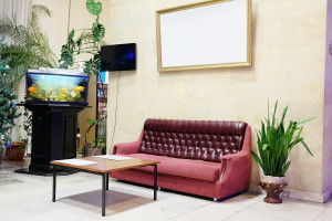 Waiting Room Televisions with MyProViewer
